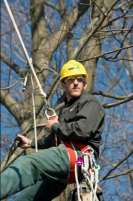 The Davey Tree Expert Company