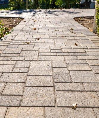 Dreamscape Development