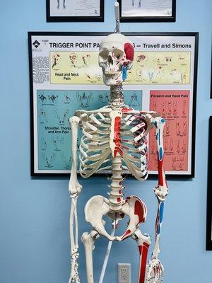 Trigger Point Sports Therapy Center