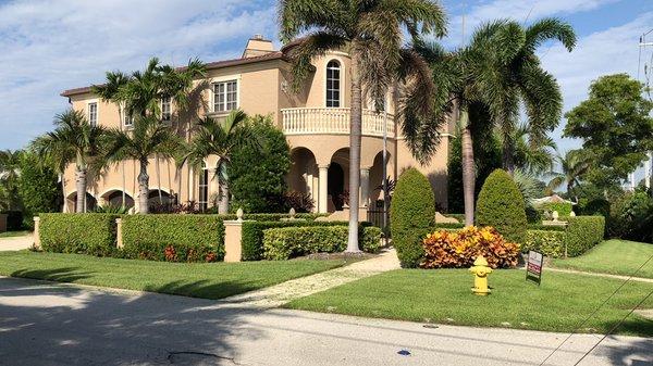 Pinedas professional detailing