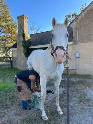 El Terre Farrier Services