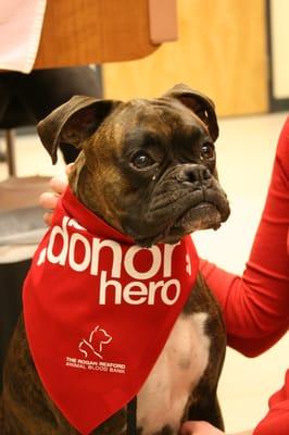 The Rogan Rexford Animal Blood Bank