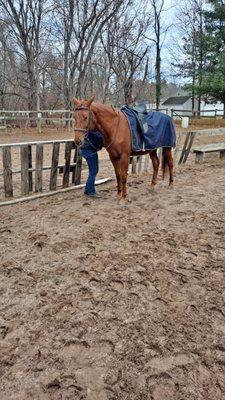 Hidden Meadow Equestrian Center