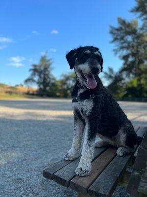 Westcrest Park Off-Leash Area