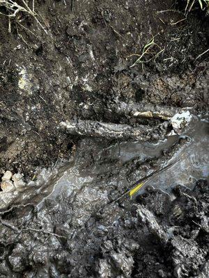 Black Plumbing - Big Spring