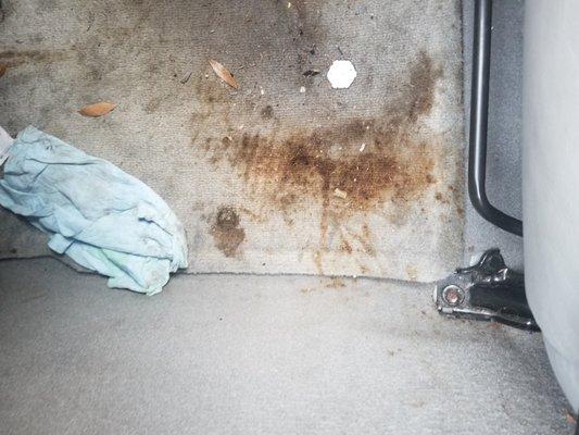 Daphne Detail Auto Detailng