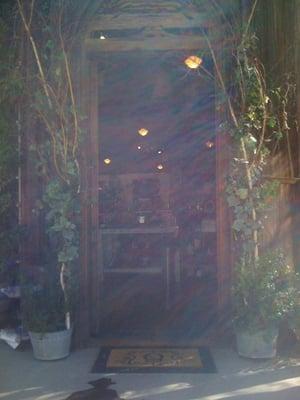 Harmony of Angelz Design