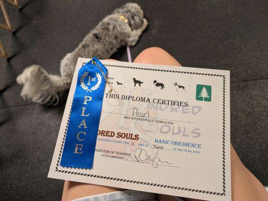 Kindred Souls Canine Center