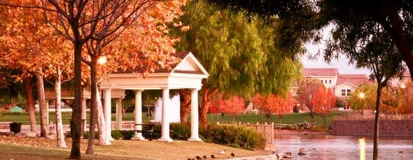 Constance Burke Realtor