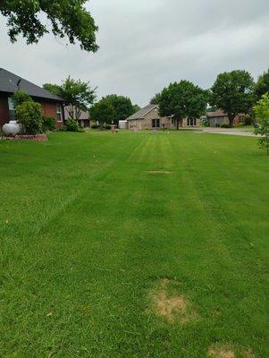 Clean Cuts Lawn Care Service