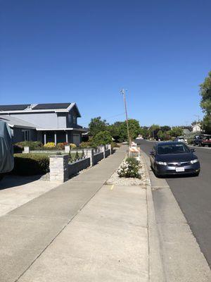 Lan Nagashima International Investment