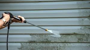 Home and Business Power Washing