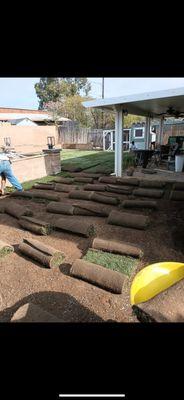 Candelario landscaping services