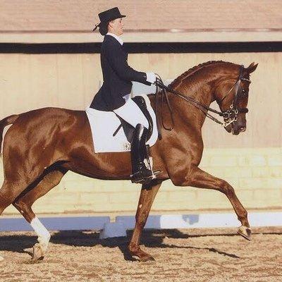 Kimberly Dobin Dressage