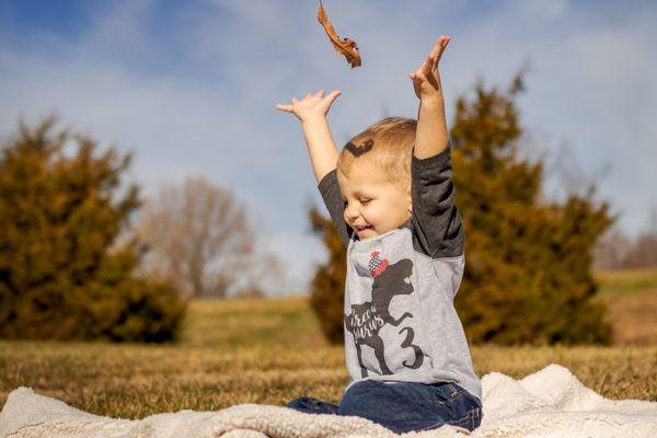 Creative Story Visuals