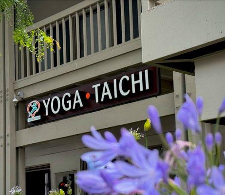 Body & Brain - Irvine