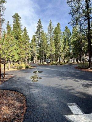 La Pine State Park - campground
