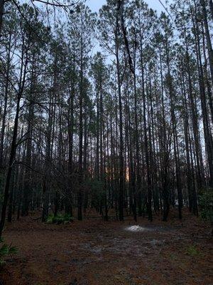 View from one of the stands