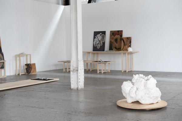 Instal shot from Rebecca Bollinger's solo show