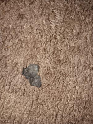 Hot Quality Cleaning