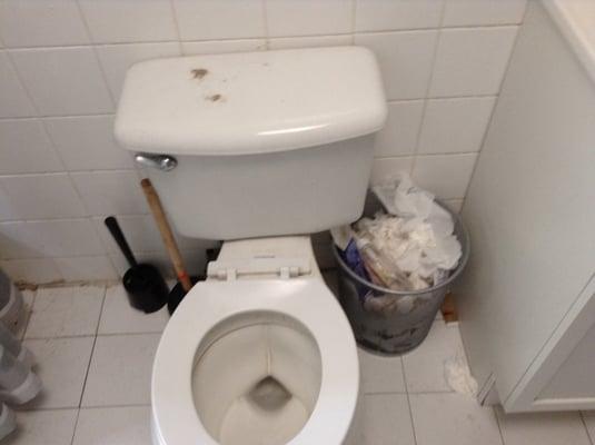 Ez Green Cleaning Service