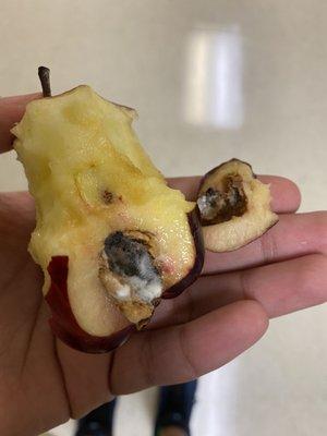 Keys Gate Charter High School