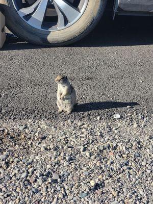 Henry's Lake State Park