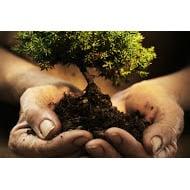 Greenfields Landscaping