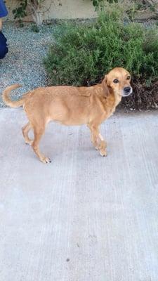 Our Precious Buddy!!