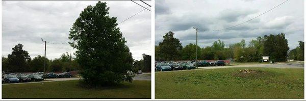 Holidays Tree Service & Lawncare