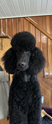 Cain Veterinary Clinics