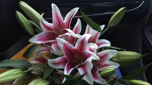 Stargazer lillies!!!