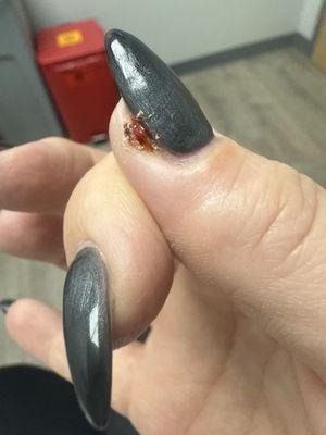 New Sunny Ria Nail & Spa Inc