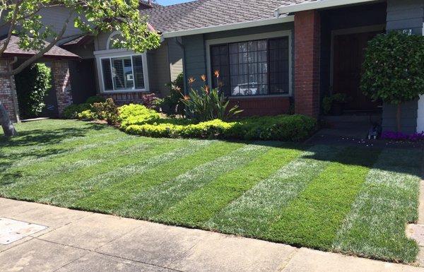 Leo's Gardening Services