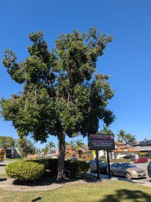 Alamosa Park Elementary School