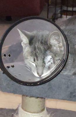 Sierra Gateway Veterinary Clinic