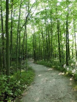 High Cliff State Park