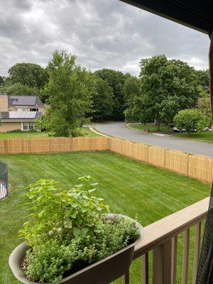 Classic Fence