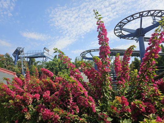 LEGO Technic Coaster