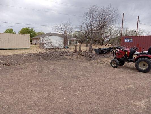 Tree removal in progress