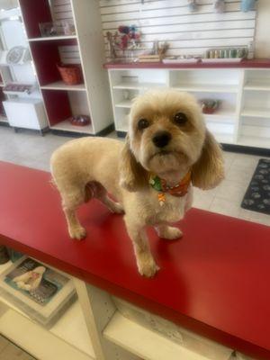 Lucky feels like a million bucks now!