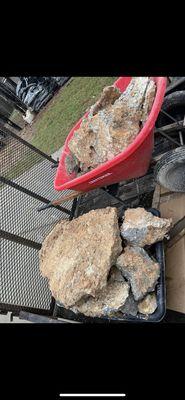 1000lbs we collected over 2 Saturdays. Had to rent a trailer and pay $100 to dispose