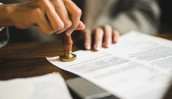 Francisco Avalos Taxes & Notary