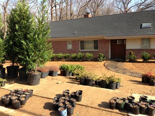 Brodie Outdoor Solutions