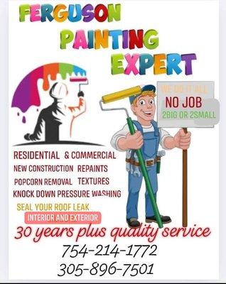 Ferguson Painting Expert