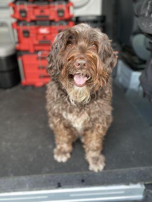 Parkview Animal Hospital