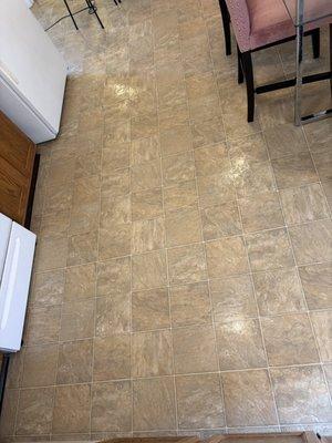 Stefan’s Carpet Cleaning