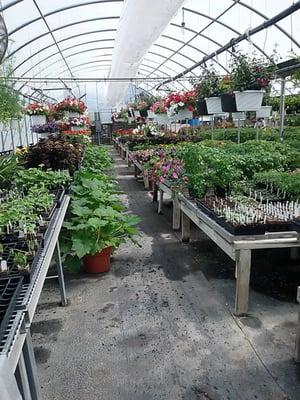 Glenhaven Greenhouses