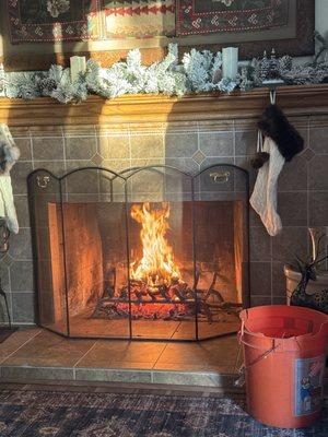 Village Chimney Sweep