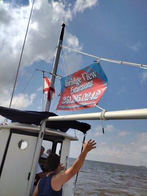 Bridge View Excursions